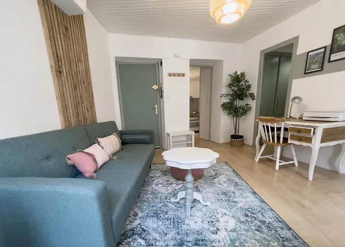 Appartement Lumineux 1 Chambre Hypercentre Place St Jean